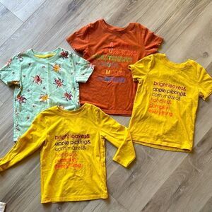 Cat & Jack Fall Tshirt Long Sleeve Bundle Set Size 3T Toddler